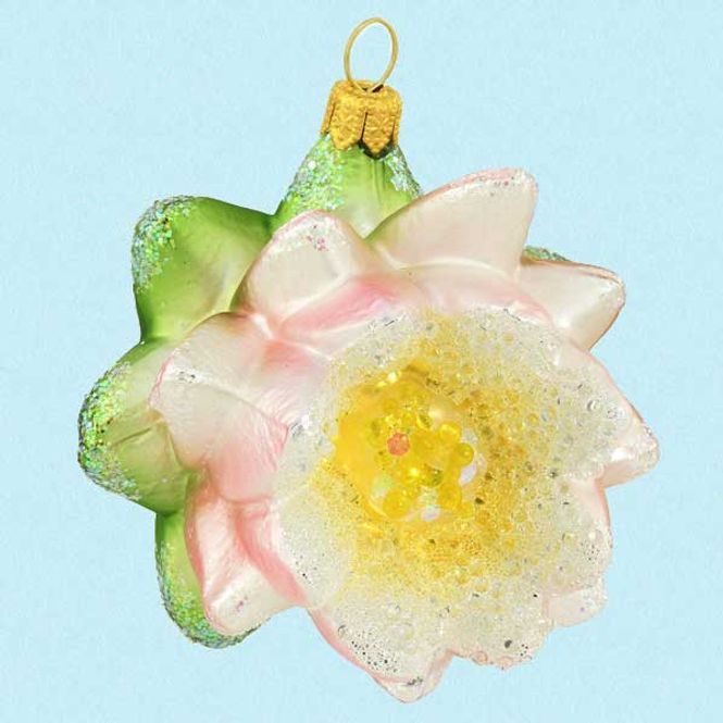 Hovedbilde Vannlilje Lotus i glass