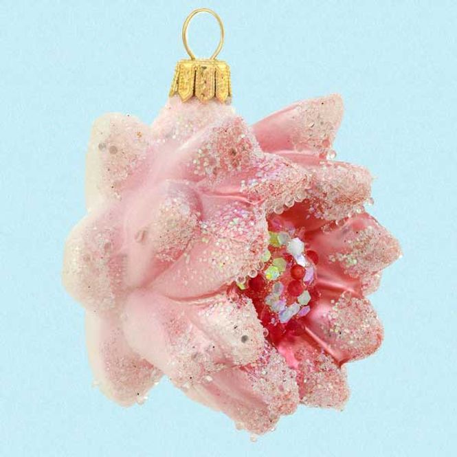 Hovedbilde Vannlilje rosa i glass