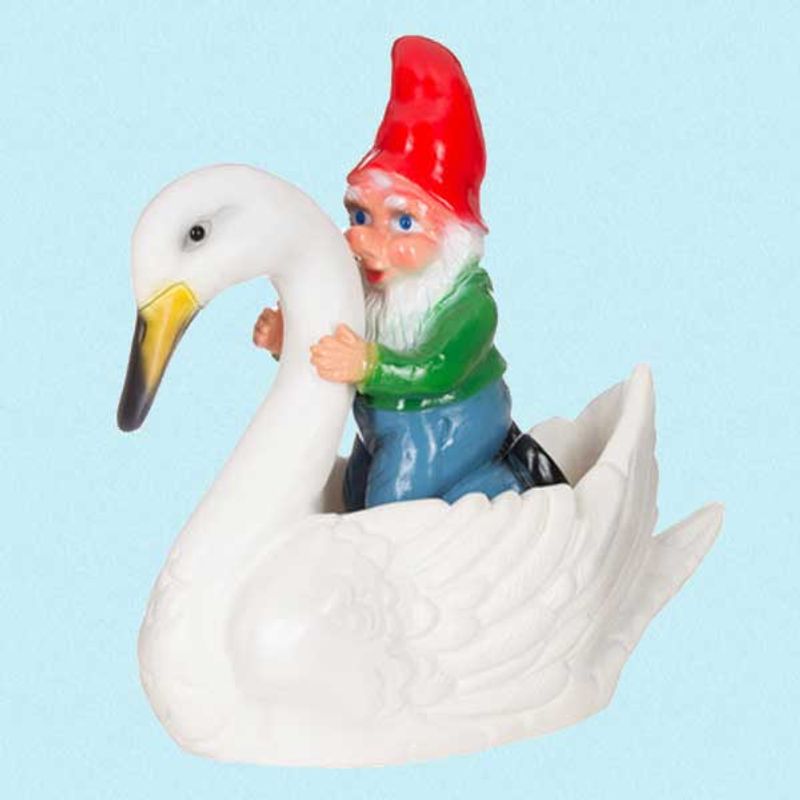 Hagenisse på svane