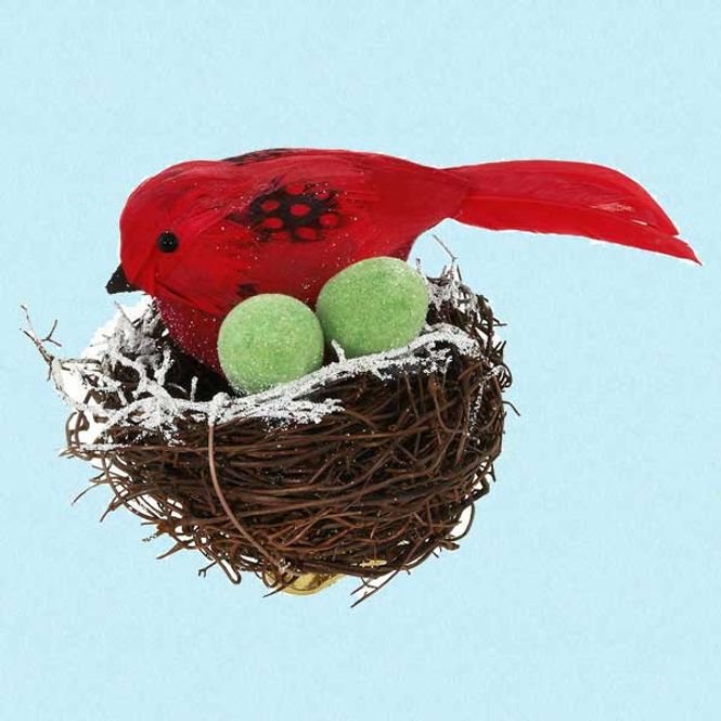 Hovedbilde Cardinal fugl i rede med egg