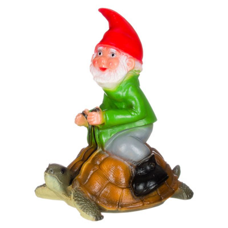 Hagenisse på skilpadde