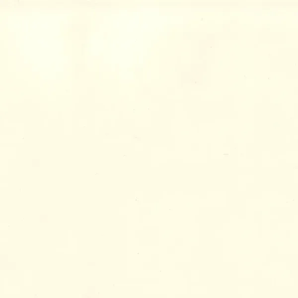 Airline Barkrakk med rygg CB 66 cm Chrome